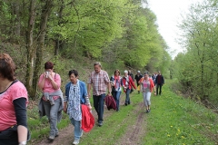 Wandertag 09.Mai´15 015